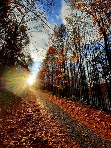 123776184_374671316931024_5568270497508411970_n